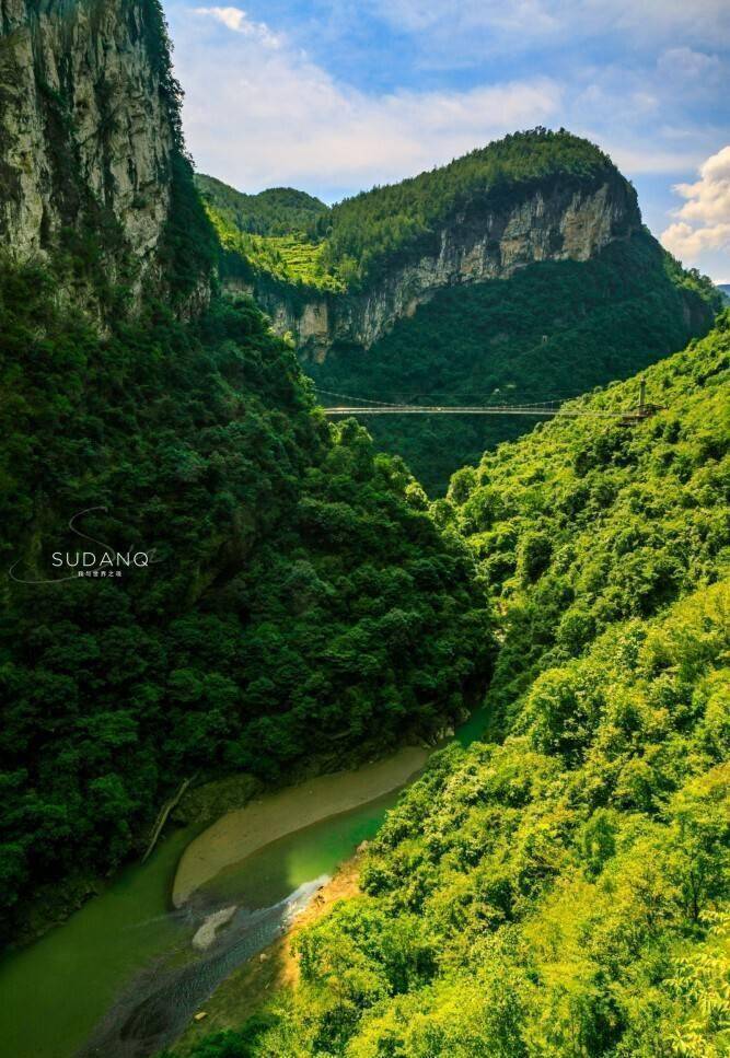 恩施富硒茶标语(恩施富硒茶广告语)-硒宝网