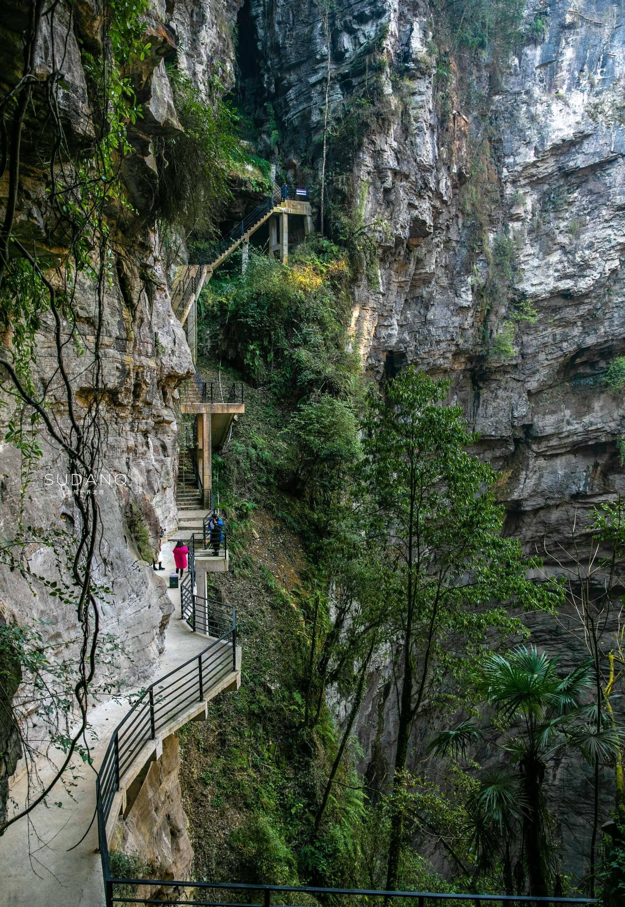 恩施富硒茶标语(恩施富硒茶广告语)-硒宝网