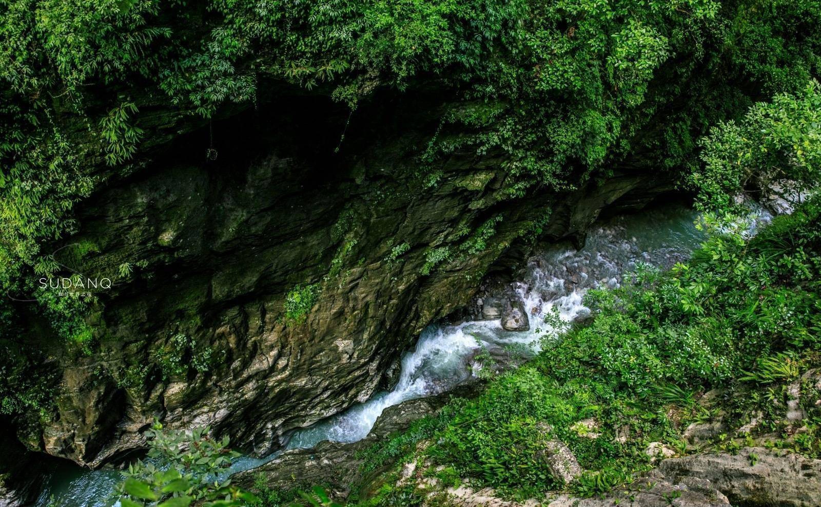 恩施富硒茶标语(恩施富硒茶广告语)-硒宝网