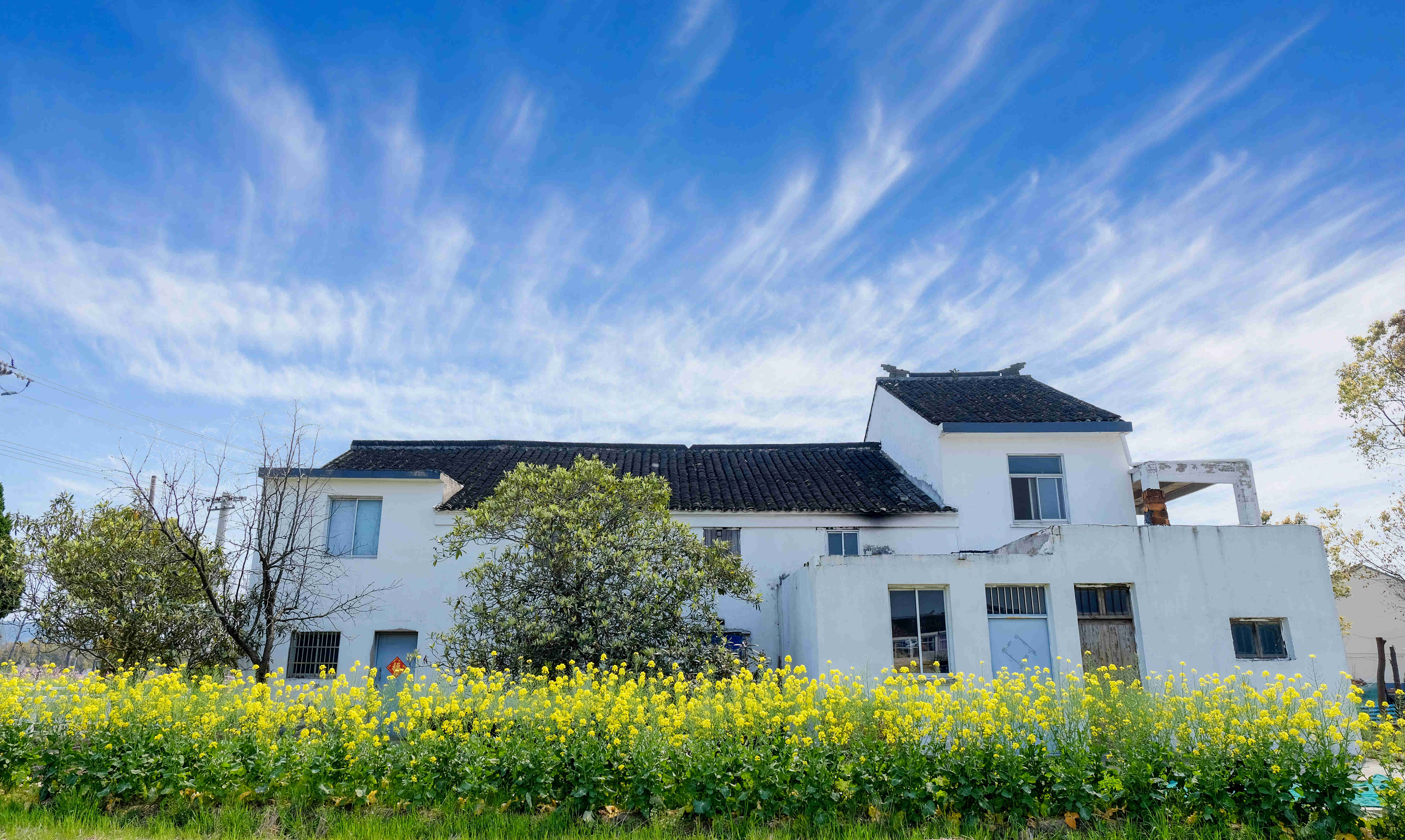 无锡富硒茶批发(富硒茶叶产地)-硒宝网