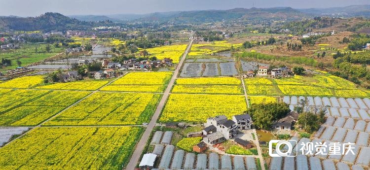 无锡富硒茶批发(富硒茶叶产地)-硒宝网
