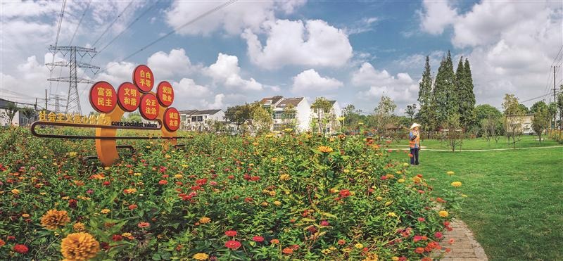 无锡富硒茶批发(富硒茶叶产地)-硒宝网