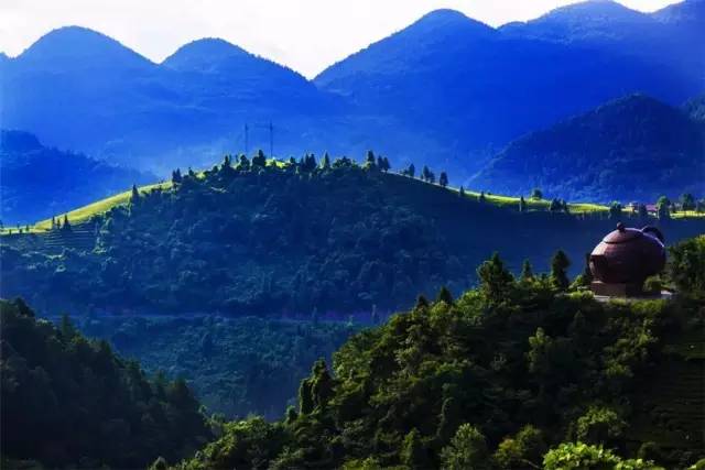 玉露恩施富硒茶(恩施玉露富硒茶)-硒宝网