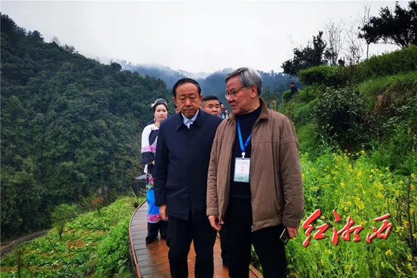 保靖黄金富硒茶（富硒黄金茶怎样冲泡）-硒宝网