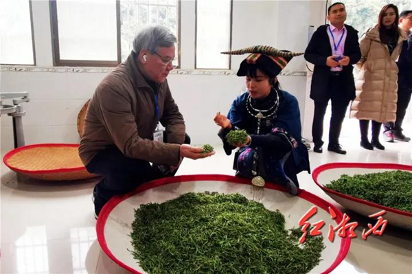 保靖黄金富硒茶（富硒黄金茶怎样冲泡）-硒宝网