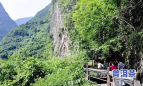 湖北富硒茶特级（湖北富硒茶的功效与作用）-硒宝网