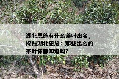 湖北富硒茶特级（湖北富硒茶的功效与作用）-硒宝网
