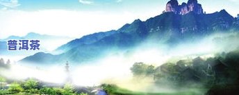 湖北富硒茶特级（湖北富硒茶的功效与作用）-硒宝网