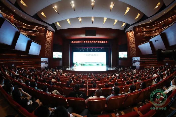 恩施富硒茶发货（恩施富硒茶发展）-硒宝网