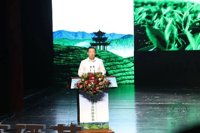 恩施富硒茶发货（恩施富硒茶发展）-硒宝网