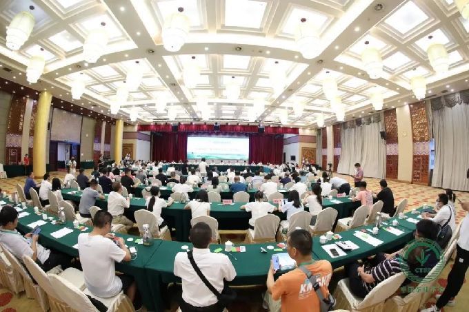 恩施富硒茶发货（恩施富硒茶发展）-硒宝网