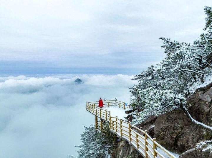 江西高山富硒茶(高山富硒茶功效)-硒宝网