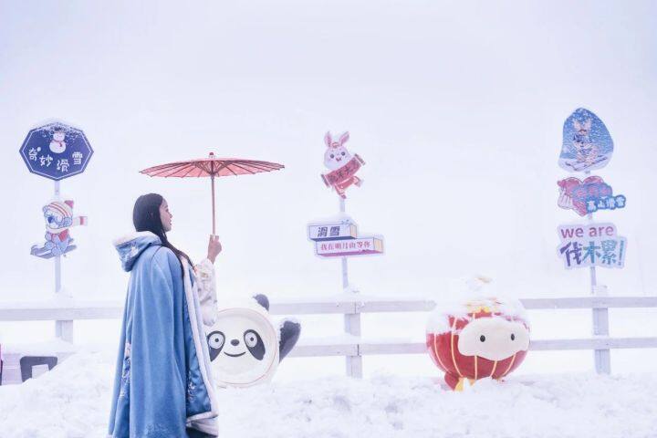 江西高山富硒茶(高山富硒茶功效)-硒宝网