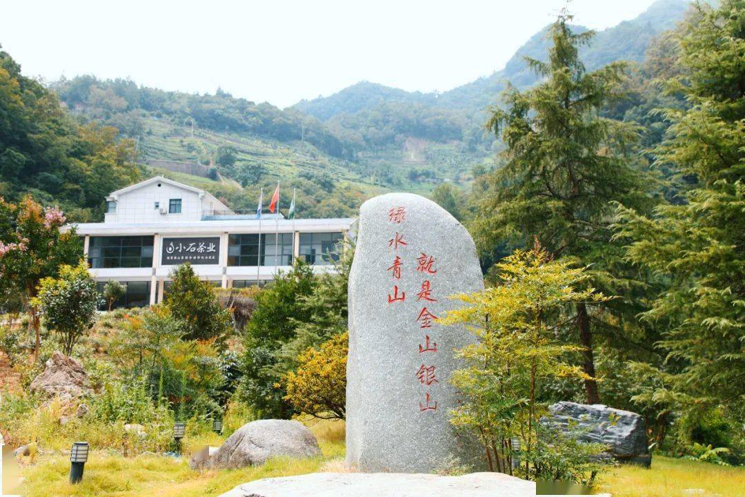 富硒茶受益群众（富硒茶宣传语）-硒宝网