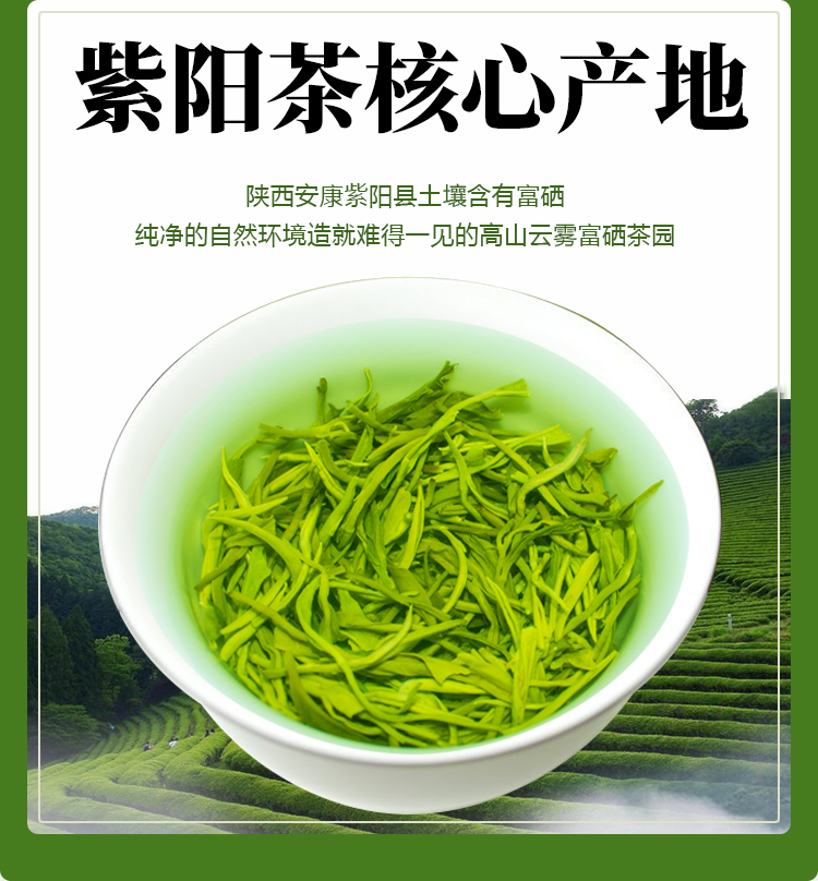 茶树喷洒富硒茶（茶树喷洒农药吗）-硒宝网