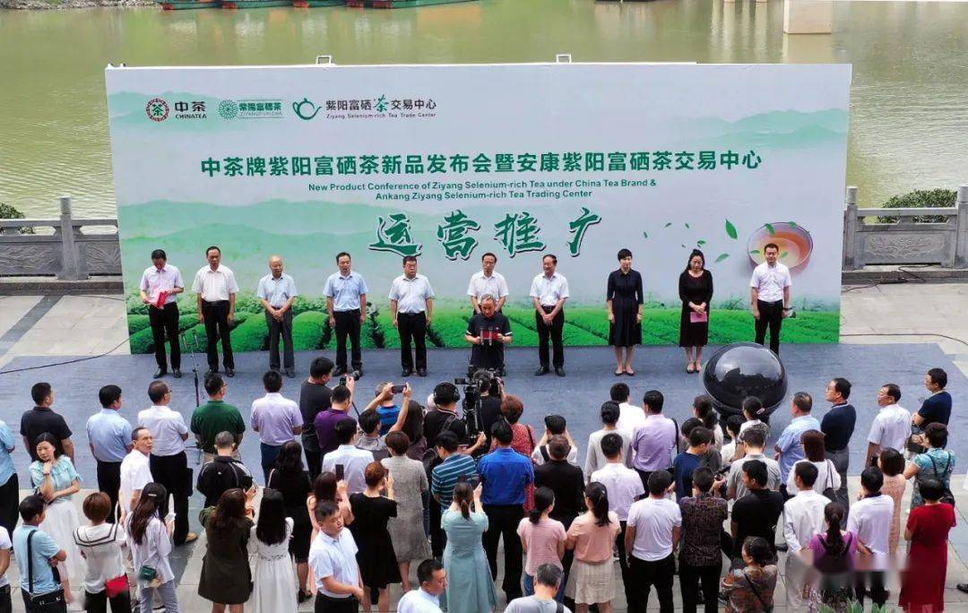紫阳富硒茶代理(紫阳富硒茶厂)-硒宝网