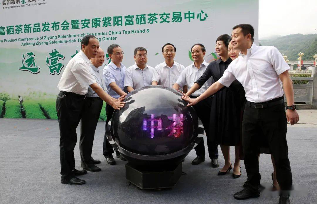 紫阳富硒茶代理(紫阳富硒茶厂)-硒宝网