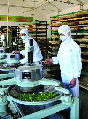 安康宣传富硒茶(安康富硒茶是绿茶吗)-硒宝网