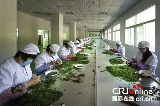 安康宣传富硒茶(安康富硒茶是绿茶吗)-硒宝网