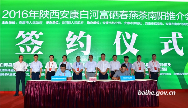 安康宣传富硒茶(安康富硒茶是什么茶)-硒宝网