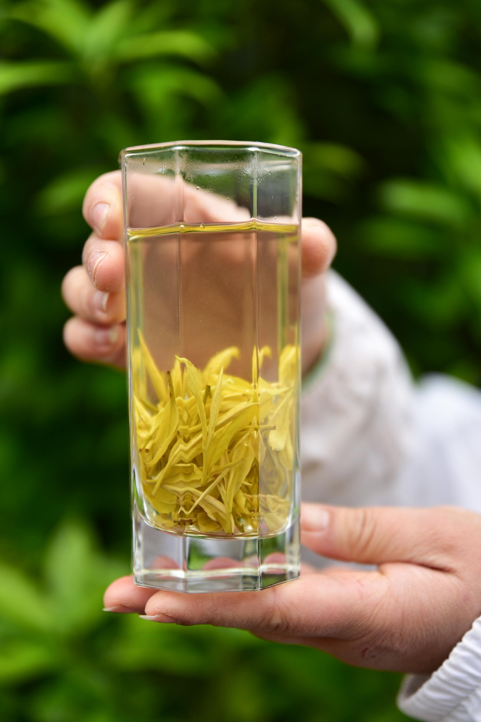 安康高山富硒茶(安硒山安康富硒茶)-硒宝网