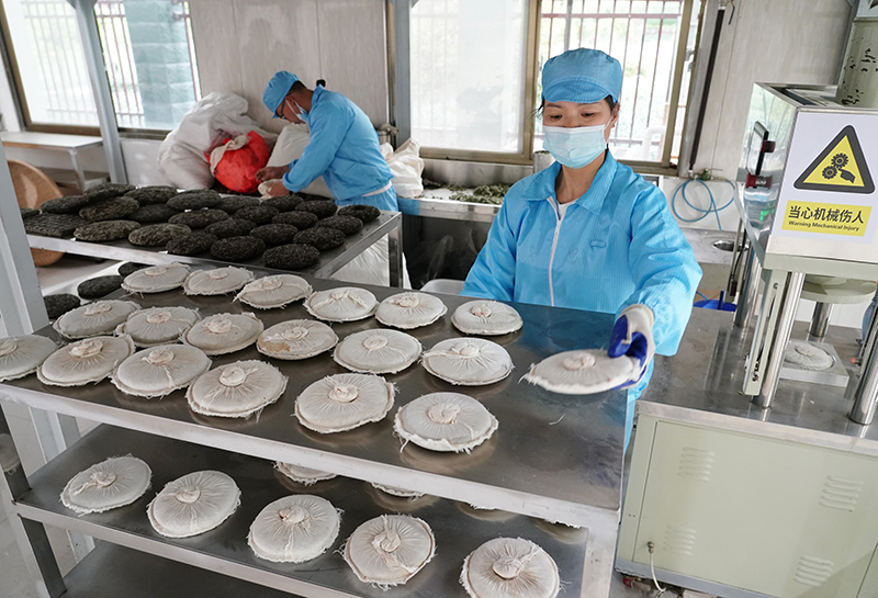 安康富硒茶代言（我为安康富硒茶代言）-硒宝网