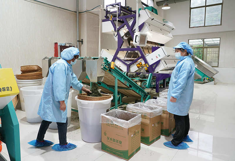 安康富硒茶代言（我为安康富硒茶代言）-硒宝网