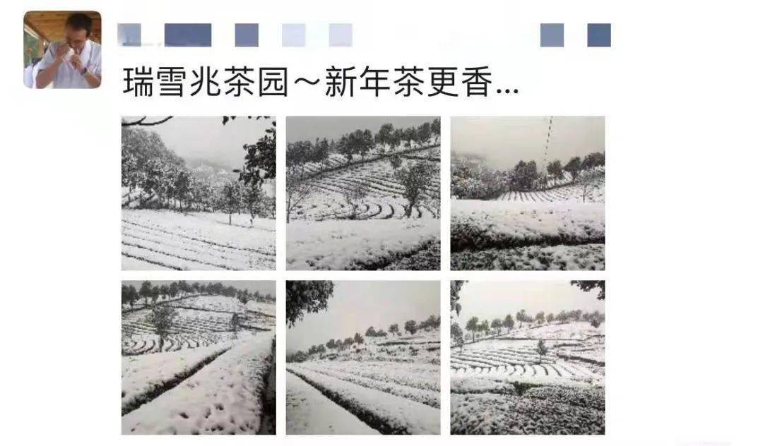 开阳富硒茶直播（开阳富硒茶叶）-硒宝网