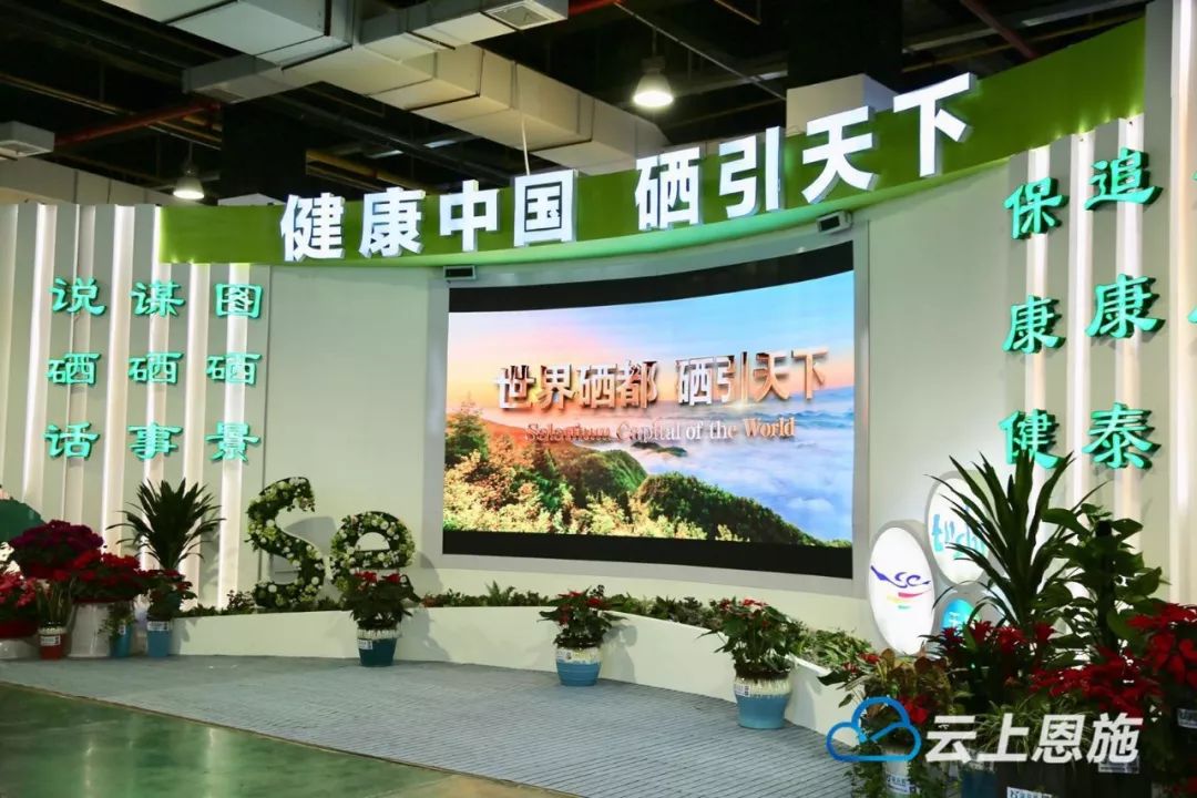 恩施富硒茶门户(湖北恩施富硒茶价格表)-硒宝网