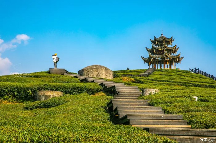 恩施富硒茶门户(湖北恩施富硒茶价格表)-硒宝网