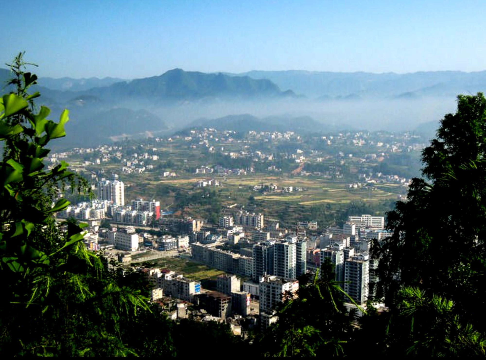 恩施富硒茶门户(湖北恩施富硒茶价格表)-硒宝网