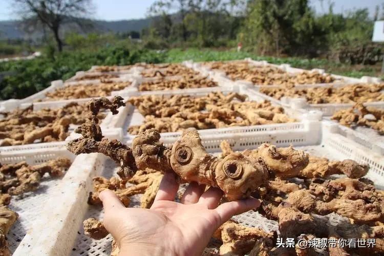 石台富硒茶味道（石台富硒茶叶）-硒宝网