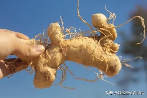 石台富硒茶味道（石台富硒茶叶）-硒宝网