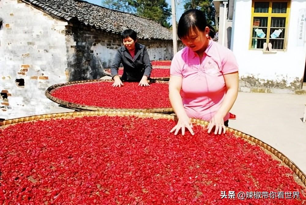 石台富硒茶味道（石台富硒茶叶）-硒宝网