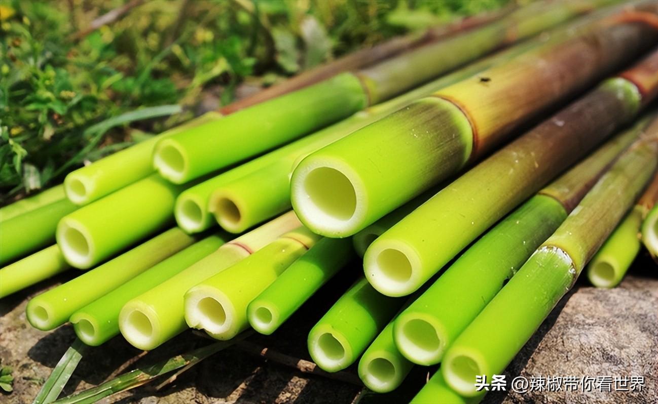 石台富硒茶味道（石台富硒茶叶）-硒宝网