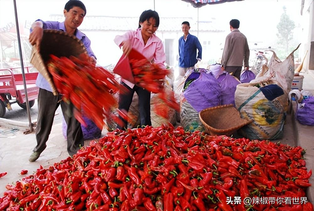 石台富硒茶味道（石台富硒茶叶）-硒宝网