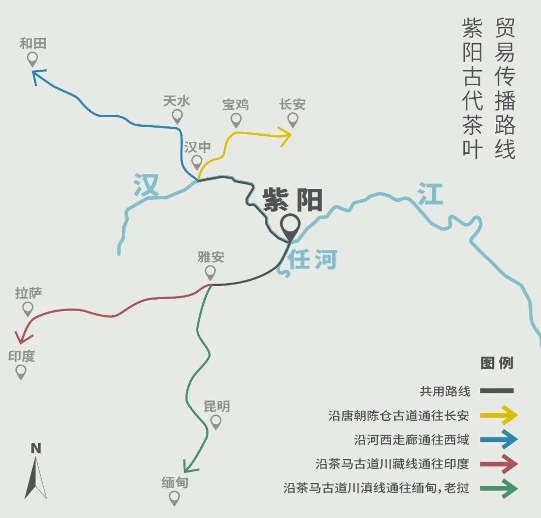 紫阳富硒茶来源（紫阳富硒茶的价位）-硒宝网