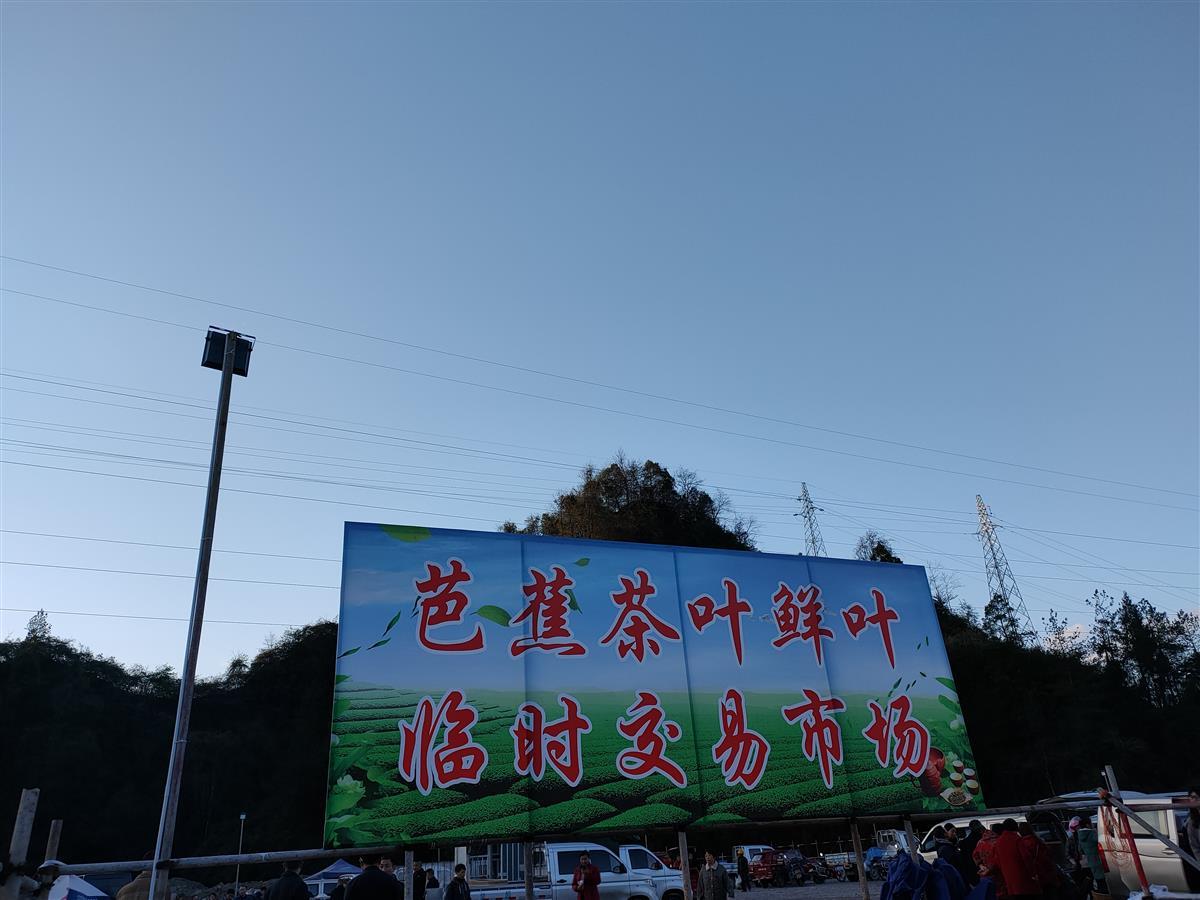 恩施富硒茶侗乡（恩施富硒茶厂电话）-硒宝网