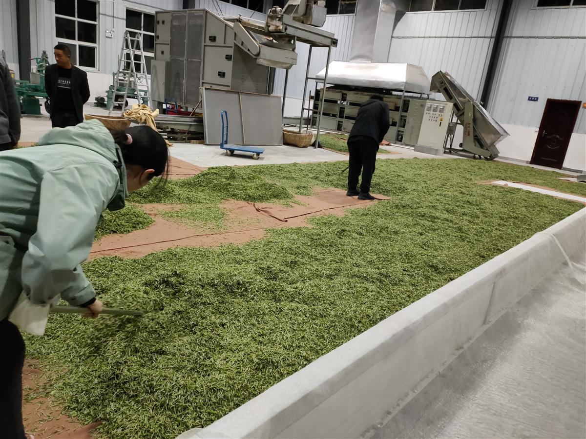 恩施富硒茶侗乡（恩施富硒茶厂电话）-硒宝网