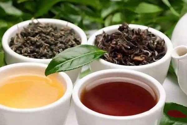 海南白沙富硒茶（海南白沙茶?。?硒宝网