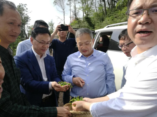 南昌富硒茶公司(南昌茶富硒公司招聘)-硒宝网