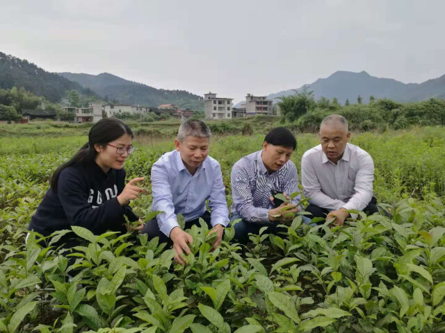 南昌富硒茶公司(南昌茶富硒公司招聘)-硒宝网