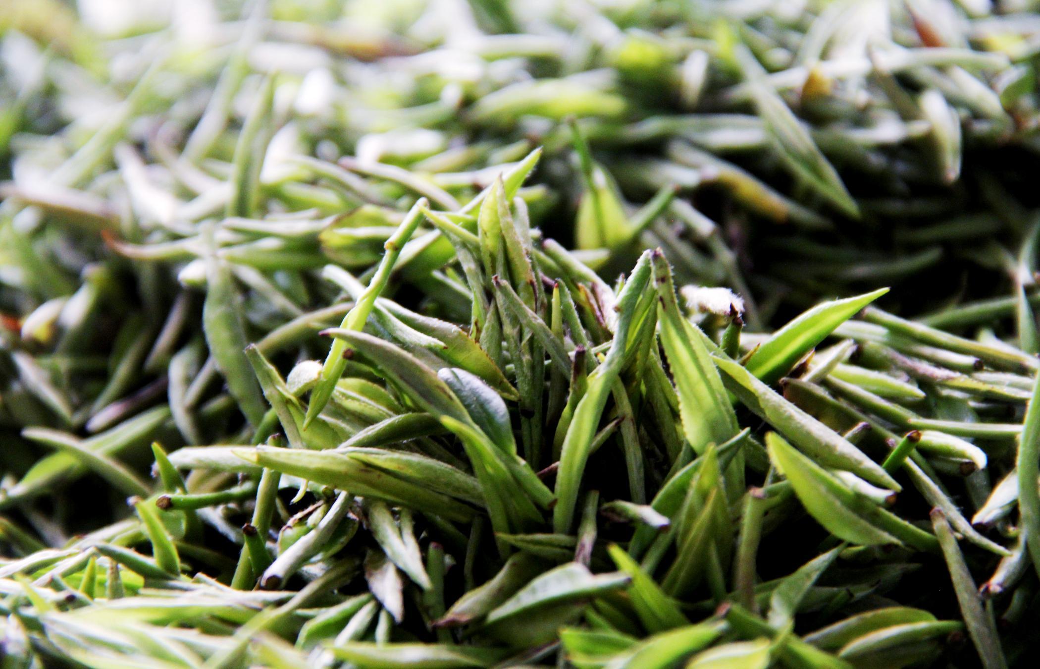 贵州富硒茶宣传(贵州富硒绿茶)-硒宝网