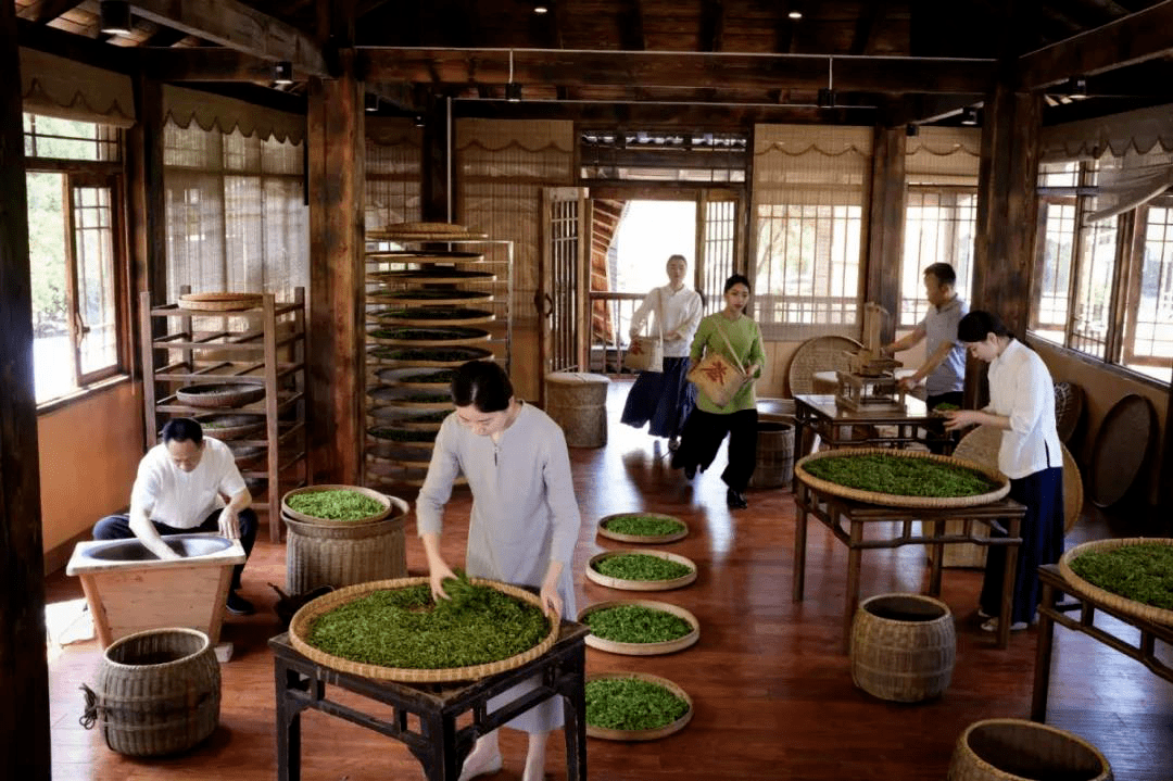 丰城富硒首乌茶（首乌茶是什么样的）-硒宝网