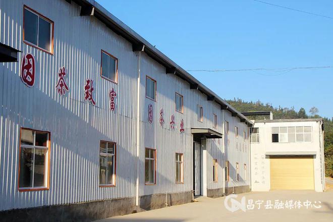 云南富硒茶产地(富硒茶叶产地)-硒宝网