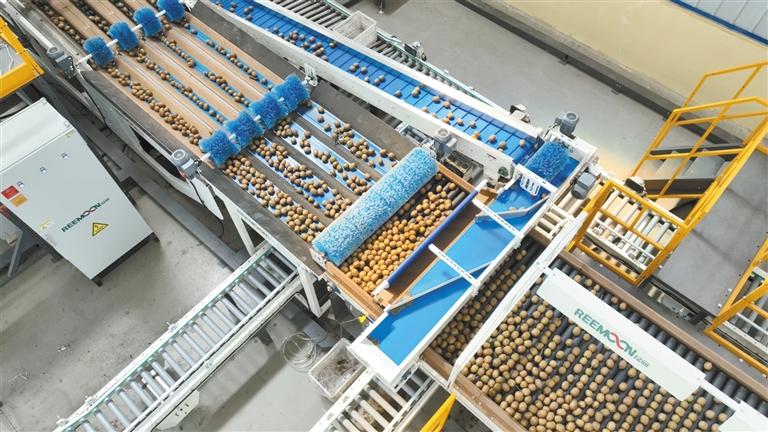 富硒茶广告推销（富硒茶宣传语）-硒宝网