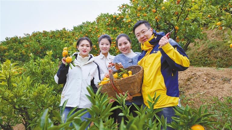 富硒茶广告推销（富硒茶宣传语）-硒宝网