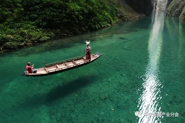 肇庆富硒有机茶(富硒茶园)-硒宝网