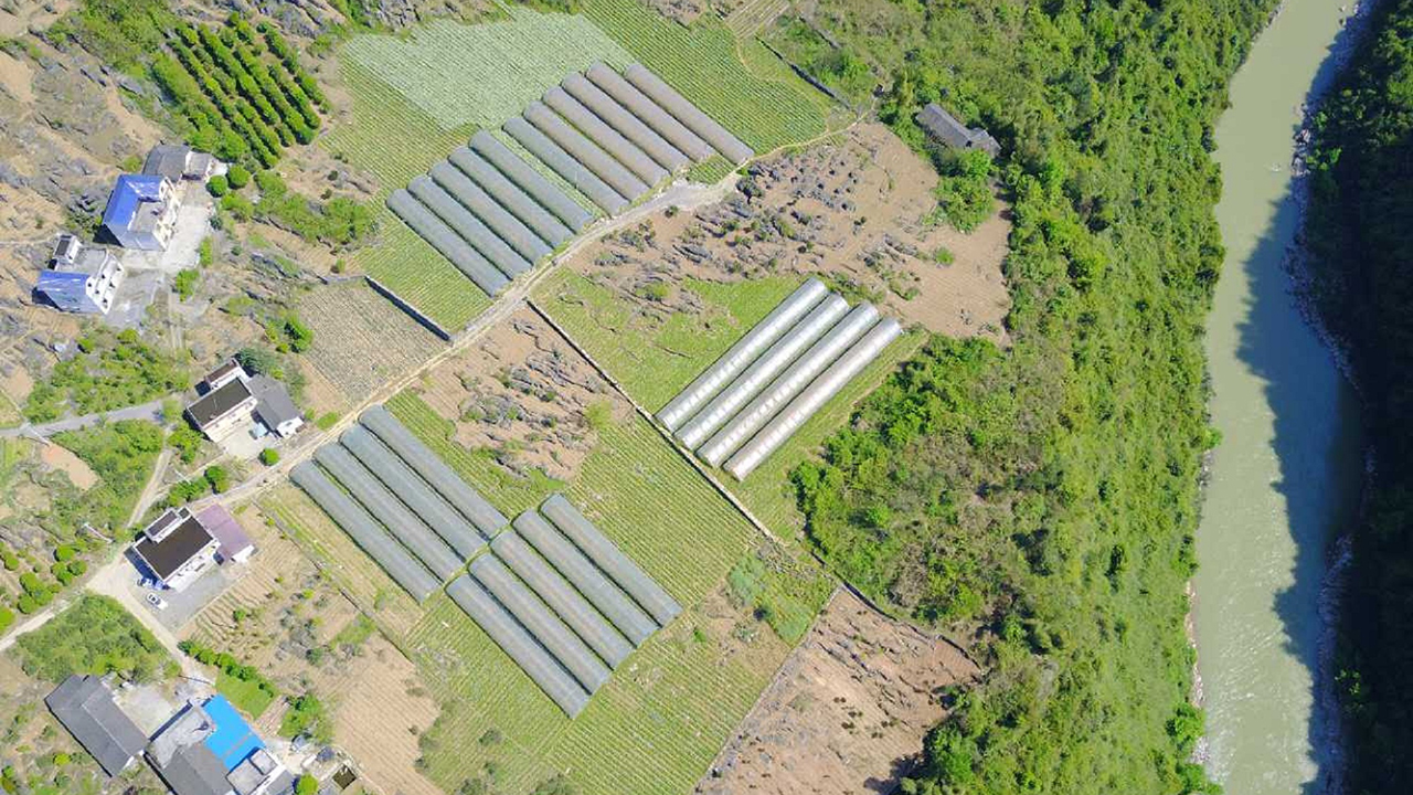 恩施富硒茶加工（恩施富硒茶厂）-硒宝网