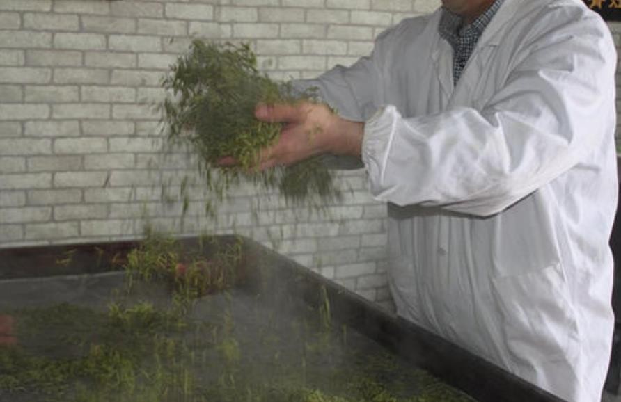 恩施富硒茶出口（恩施富硒茶市场定位分析）-硒宝网